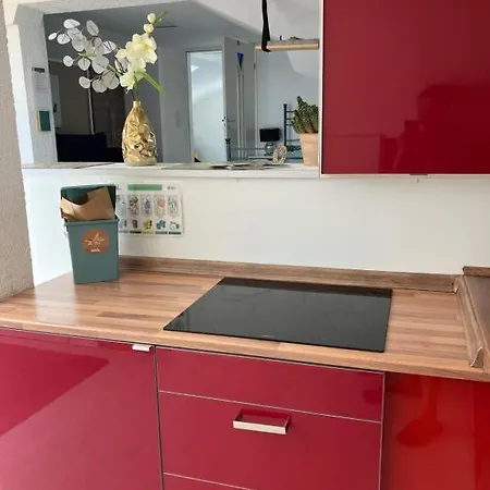 ü Für Freunde 3 Wohneinheiten Mit Außenfläche Und Grill Сasa de vacaciones Hirschaid